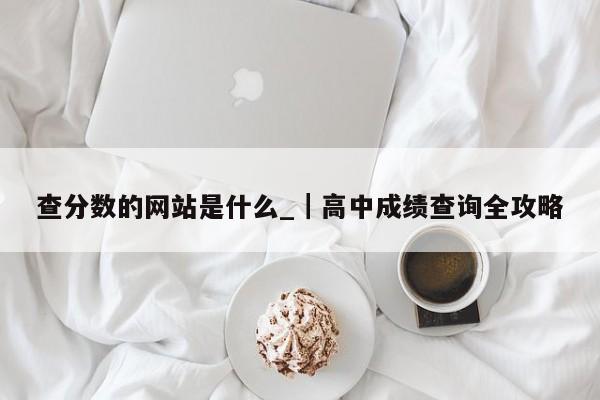 查分数的网站是什么_|高中成绩查询全攻略