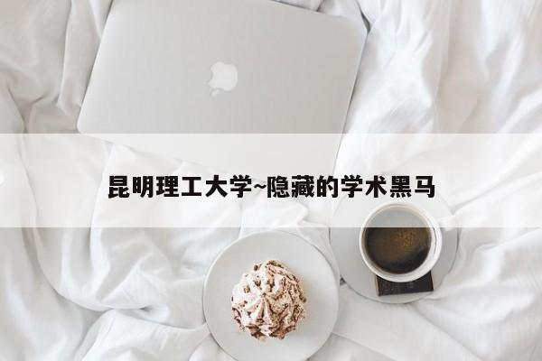 昆明理工大学~隐藏的学术黑马