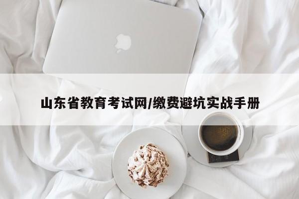 山东省教育考试网/缴费避坑实战手册